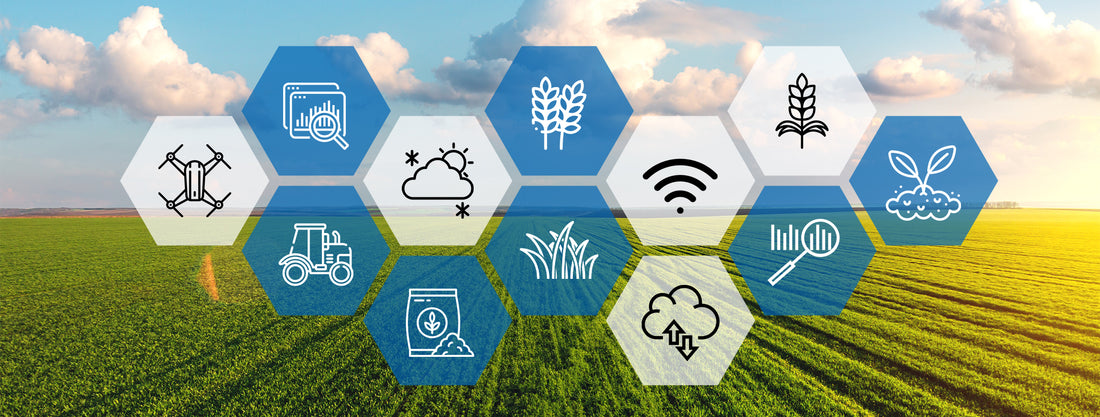 4 Reasons to Get Involved in Precision Agriculture